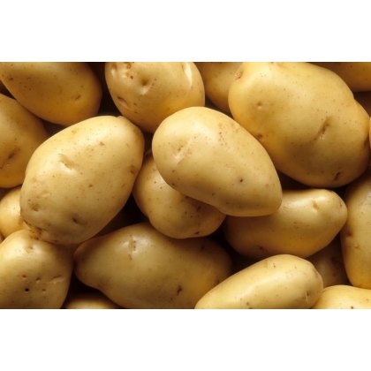Potato - બટાકા