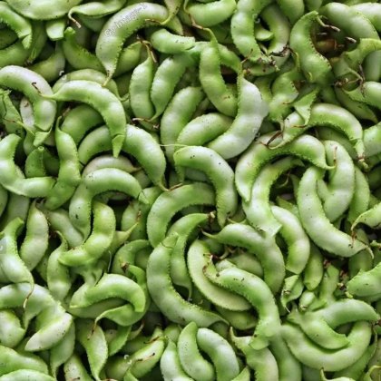 Flat Green Beans - સુરતી પાપડી