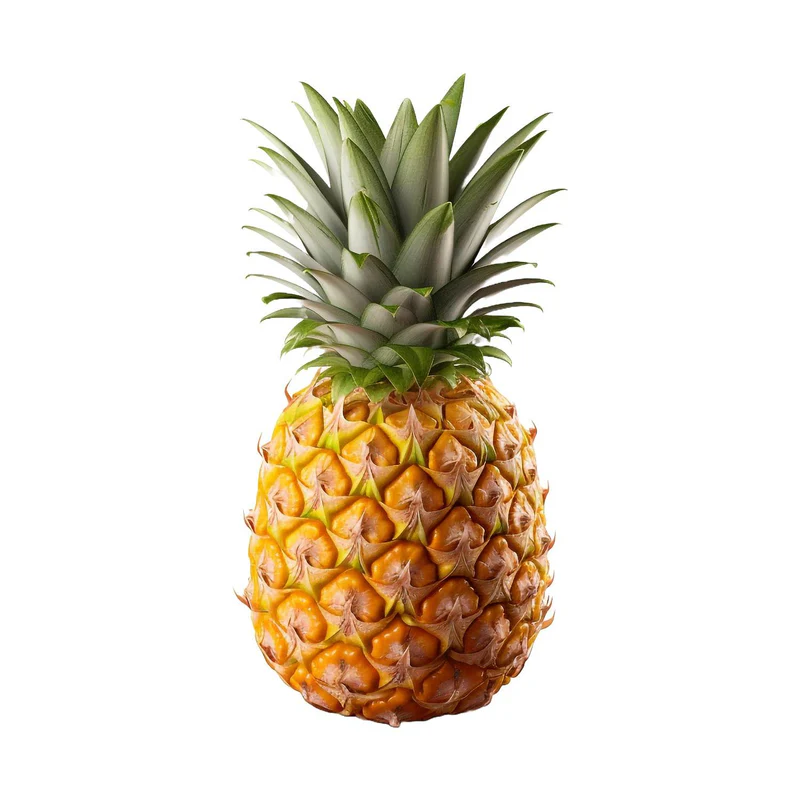 Pineapple - Ananas