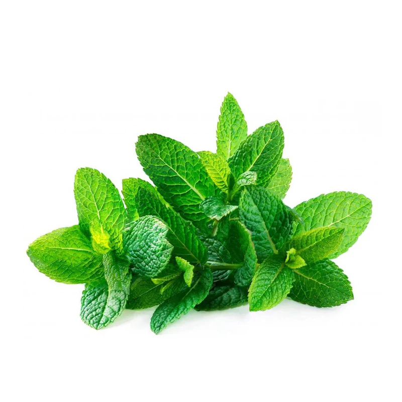 Mint Leaves - Pudina