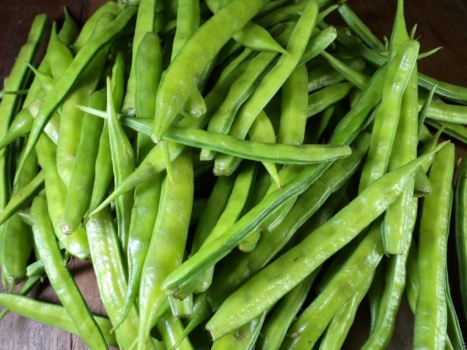 Cluster Beans - Gwar phali