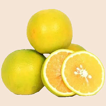 Sweet Lime - Mosambi