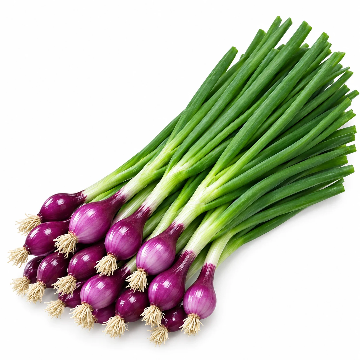 Spring Onion - લીલી ડુંગળી