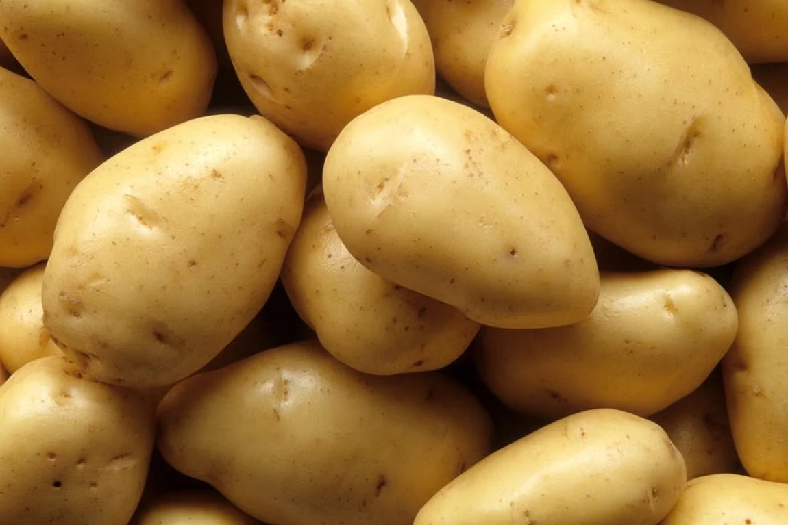 Potato - Aloo