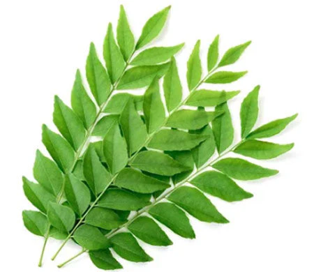 curry leaves - કરી પાંદડા
