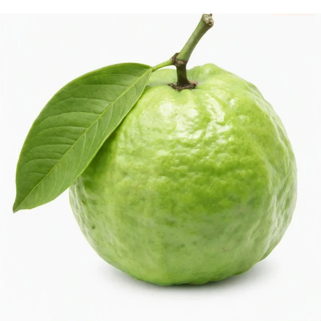 Guava - Jamrukh