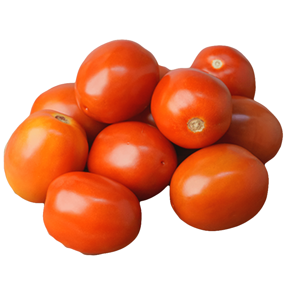 Hybrid Tomato - Tameta