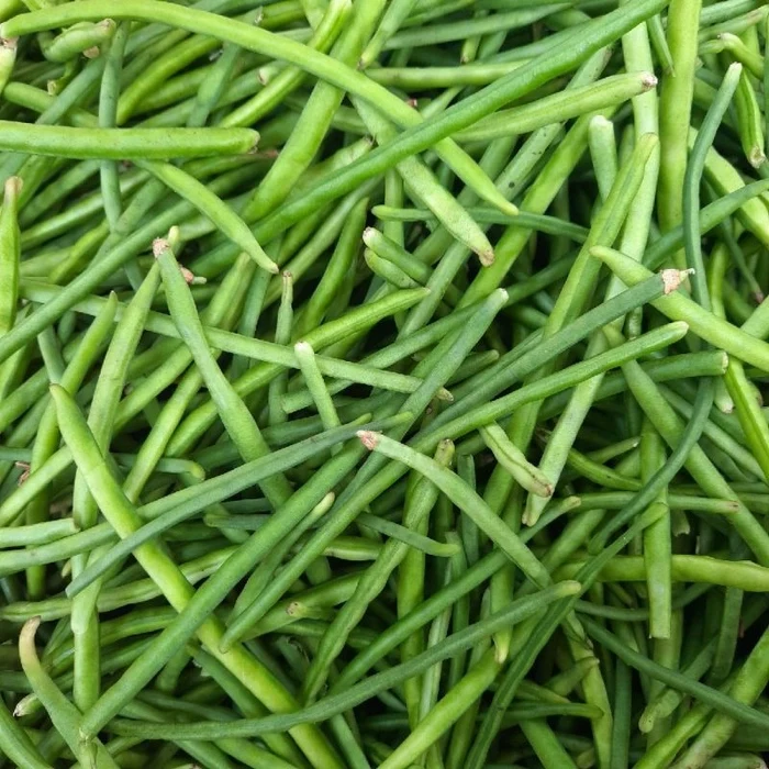 Cowpea beans - ચોળી