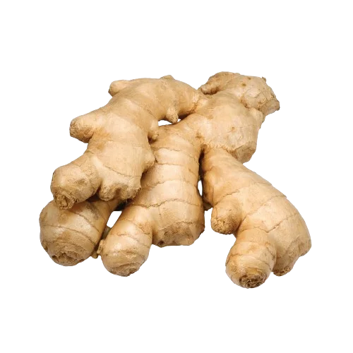 Ginger - Aadoo