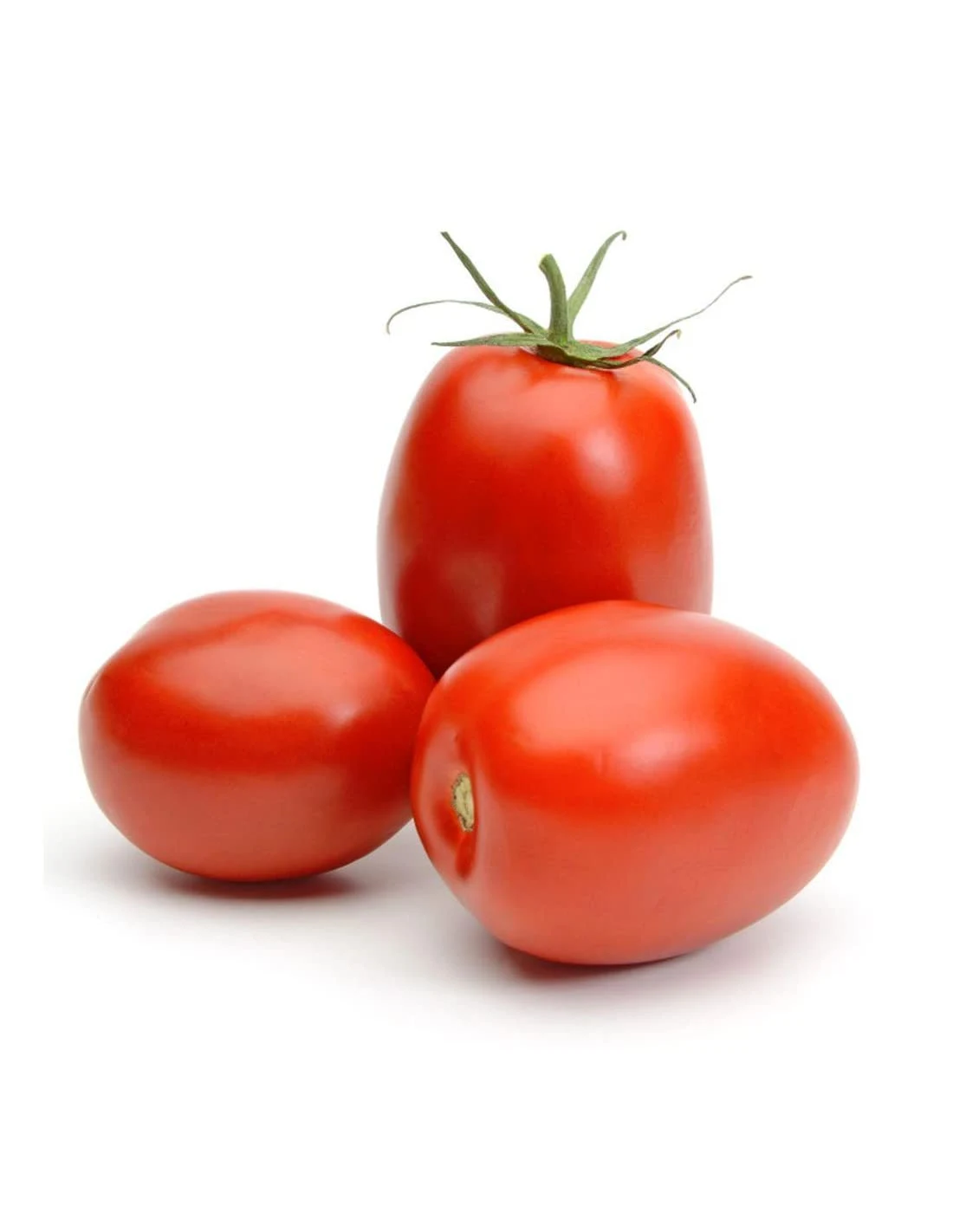Hybrid Tomato - ટામેટા