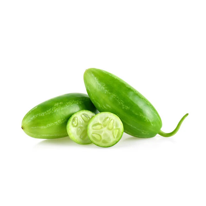 Ivy Gourd - Tindora